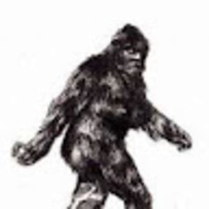 Meet your Posher, Terry